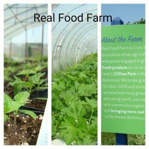 Images from Baltimore's Real Food Farm urban farming plots.