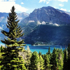 The Fulbright-MTPTrain participants enjoyed Glacier National Park in Montana over the weekend.