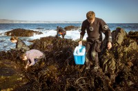 A Marine Biologist Discovering Chilean Hospitality